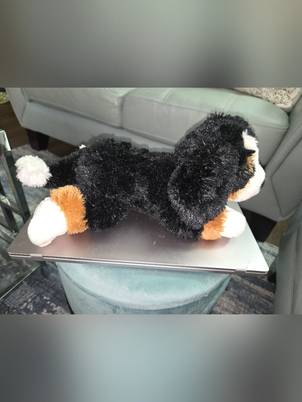 GUND Randle Bernese Mountain Dog Plush Stuffed Animal #6048551